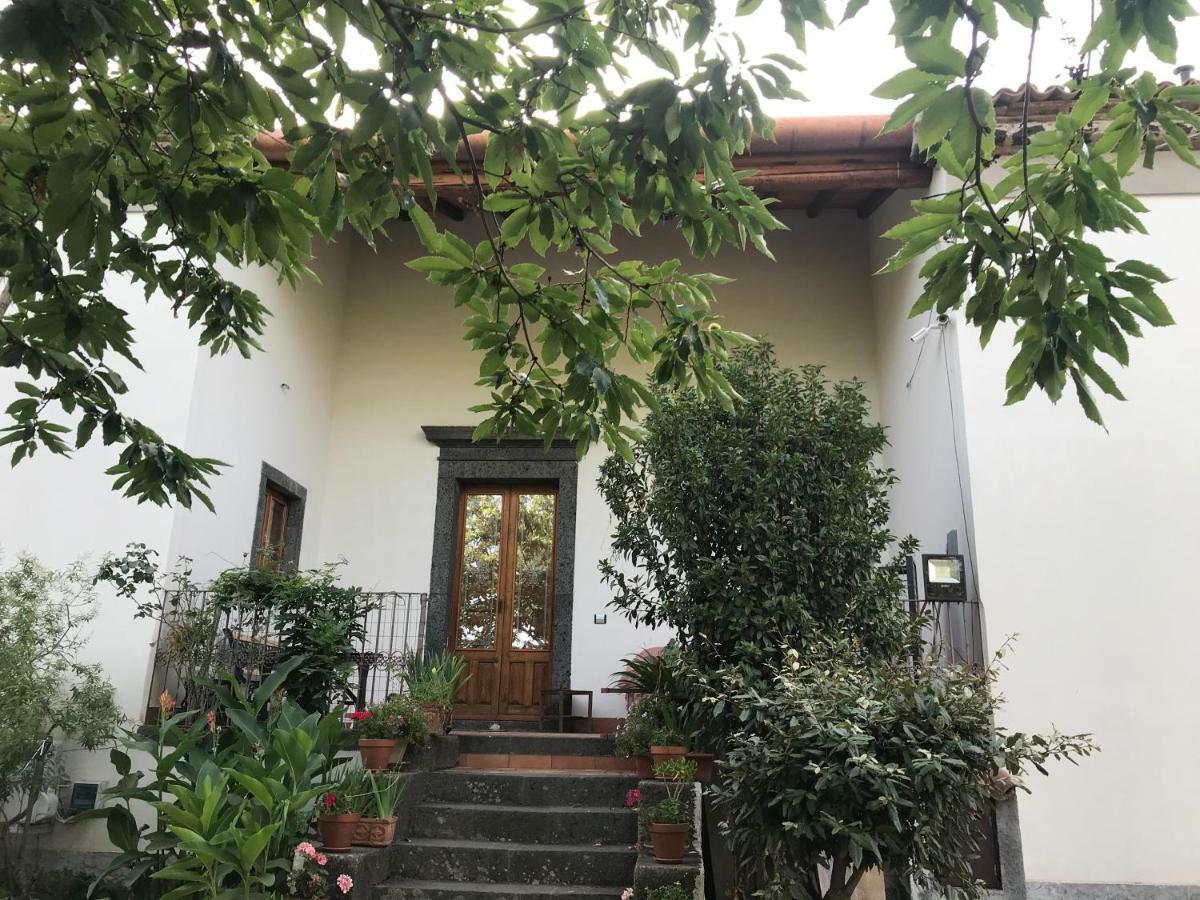 Sole Di Sicilia * Randazzo