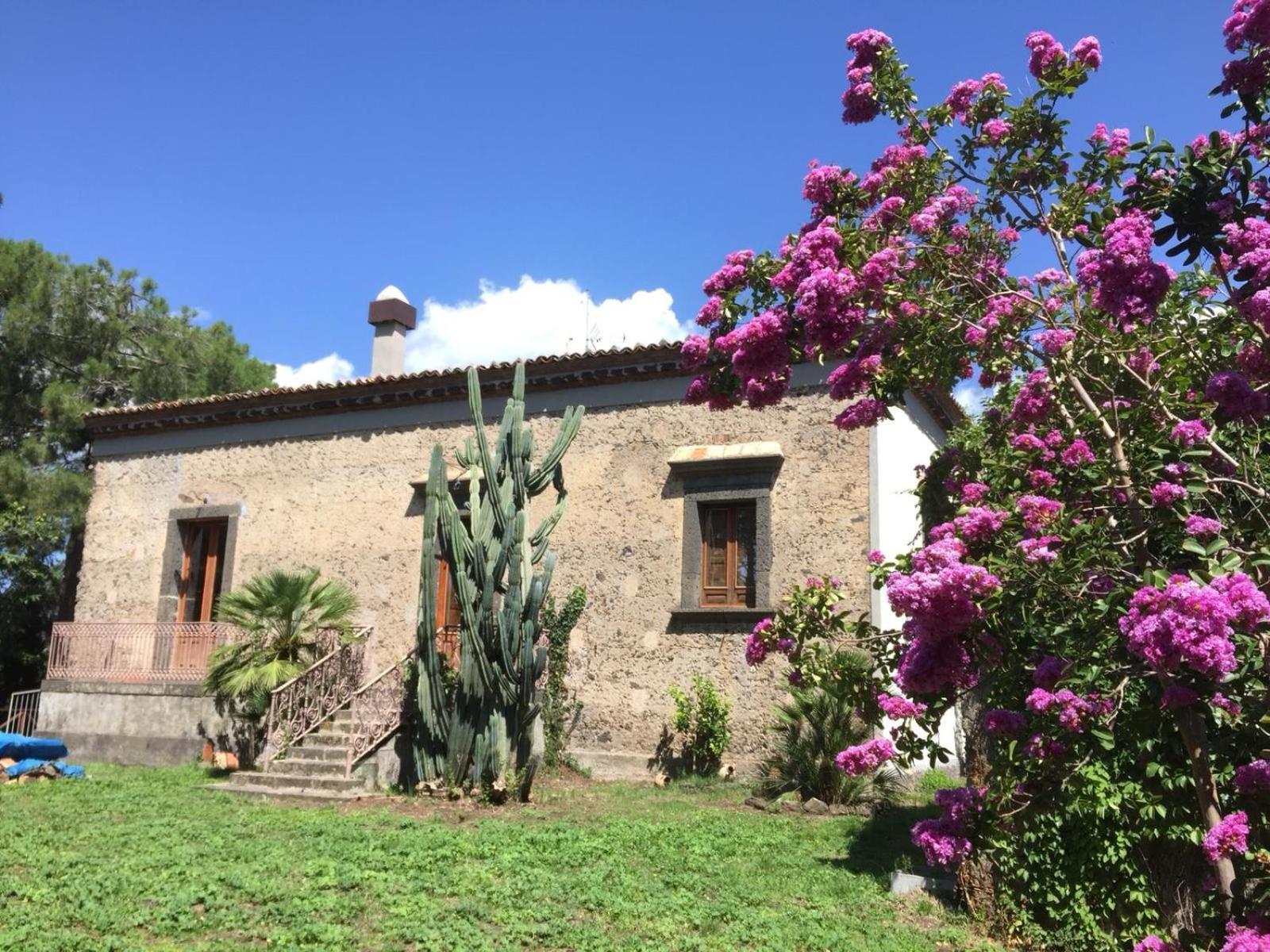 Sole Di Sicilia *