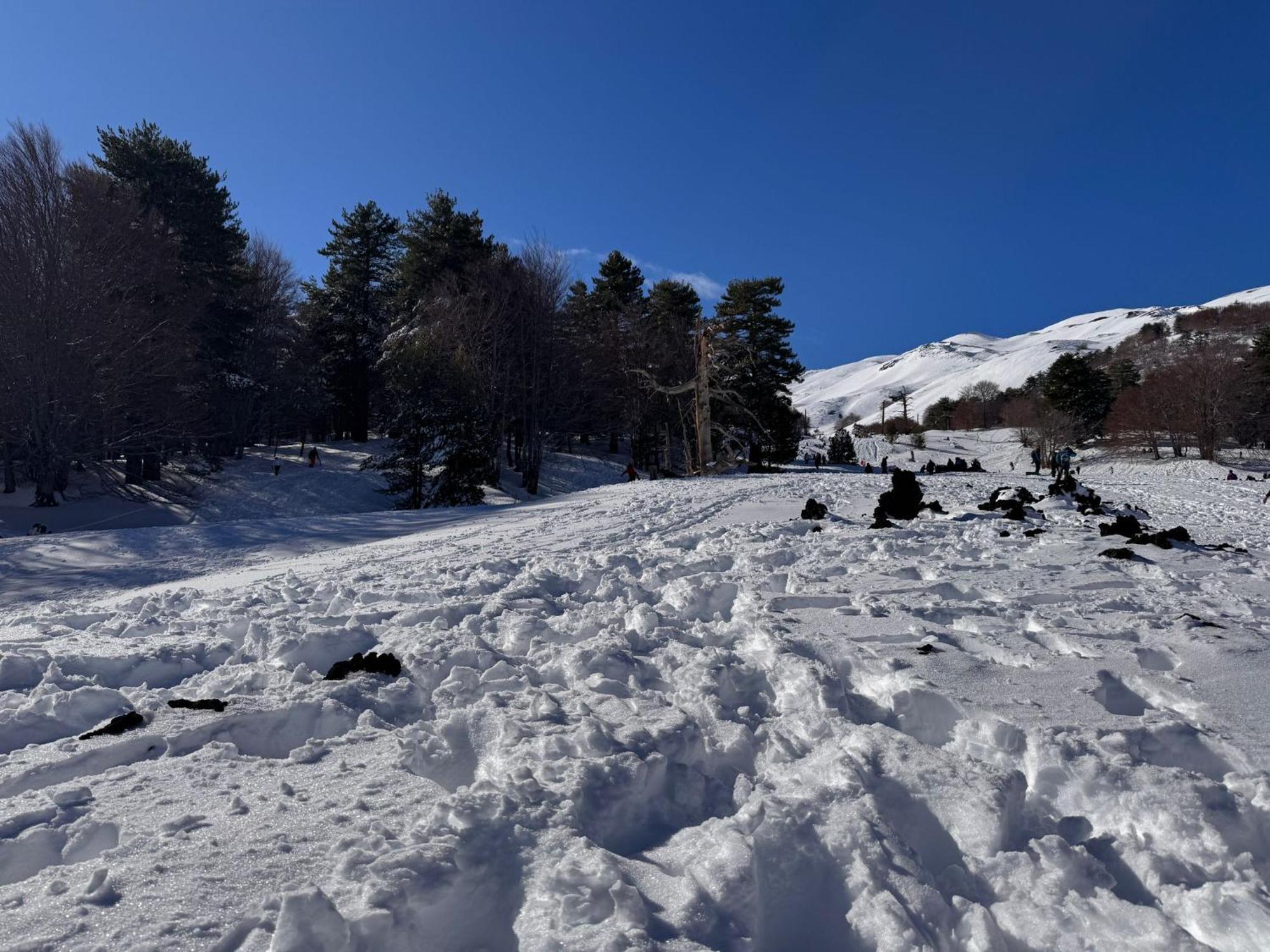 Sole Di Sicilia Randazzo