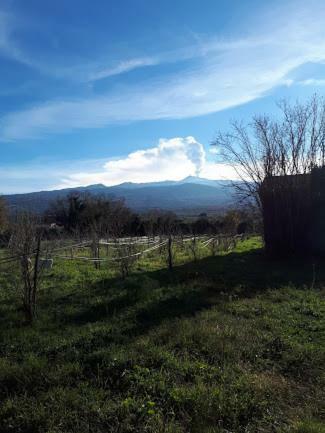 Sole Di Sicilia